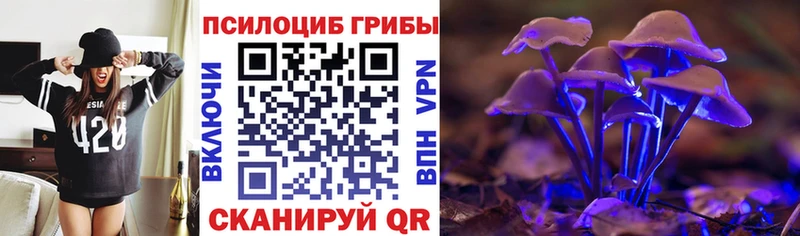 Купить закладки  Яблоновский  Псилоцибиновые грибы Magic Shrooms 